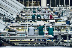 a group of people in a factory